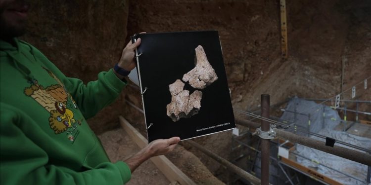 İspanya’da bulunan 1,4 milyon insan fosili, ziyaretçilerin ilgisini çekiyor