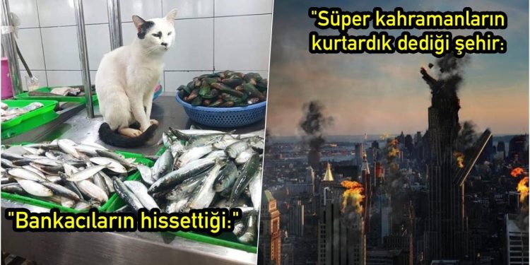 Yaptıkları Nokta Atışı Capslerle Yüzünüzde Kocaman Bir Gülümseme Yaratacak 17 Uluslararası Mizahşör