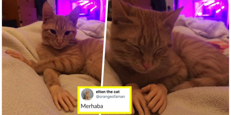 Evde Kalarak Sosyal Mesafeyi Korumaya Çalışan Kişilerin Paylaştığı Birbirinden Komik 13 Tweet