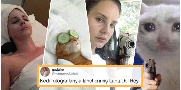Lana Del Rey’den Daha Lana Del Rey Olan Kedilerin Muhteşem Benzerlikleri Size Kocaman Bir Kahkaha Attıracak!