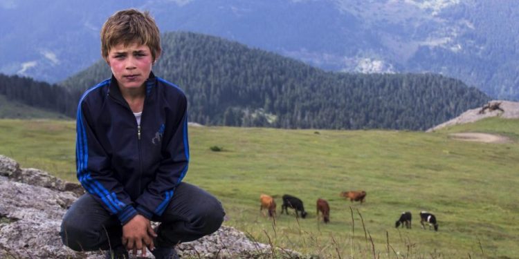 Aramızdan Ayrılalı 3 Yıl Oldu: PKK Tarafından Katledilen Eren Bülbül Anılıyor