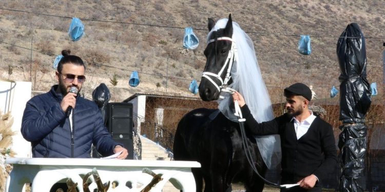 Atlara ‘Düğün’ Yaptılar: 2 At da Nikah Şahidi Oldu