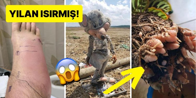 ‘Bugünlük Bu Kadar İnternet Yeter’ Demenize Sebep Olacak Tuhaflıkta 15 Acayip Görsel