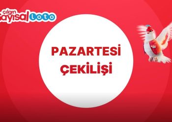 Sayısal Loto Sonuçları Açıklandı! 30 Ocak Sayısal Loto Sonuç Ekranı ve Kazandıran Numaralar